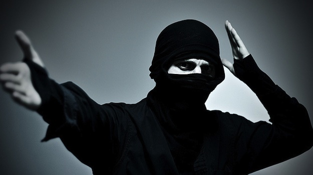 31 Steps to Mastering&nbsp;WordPress