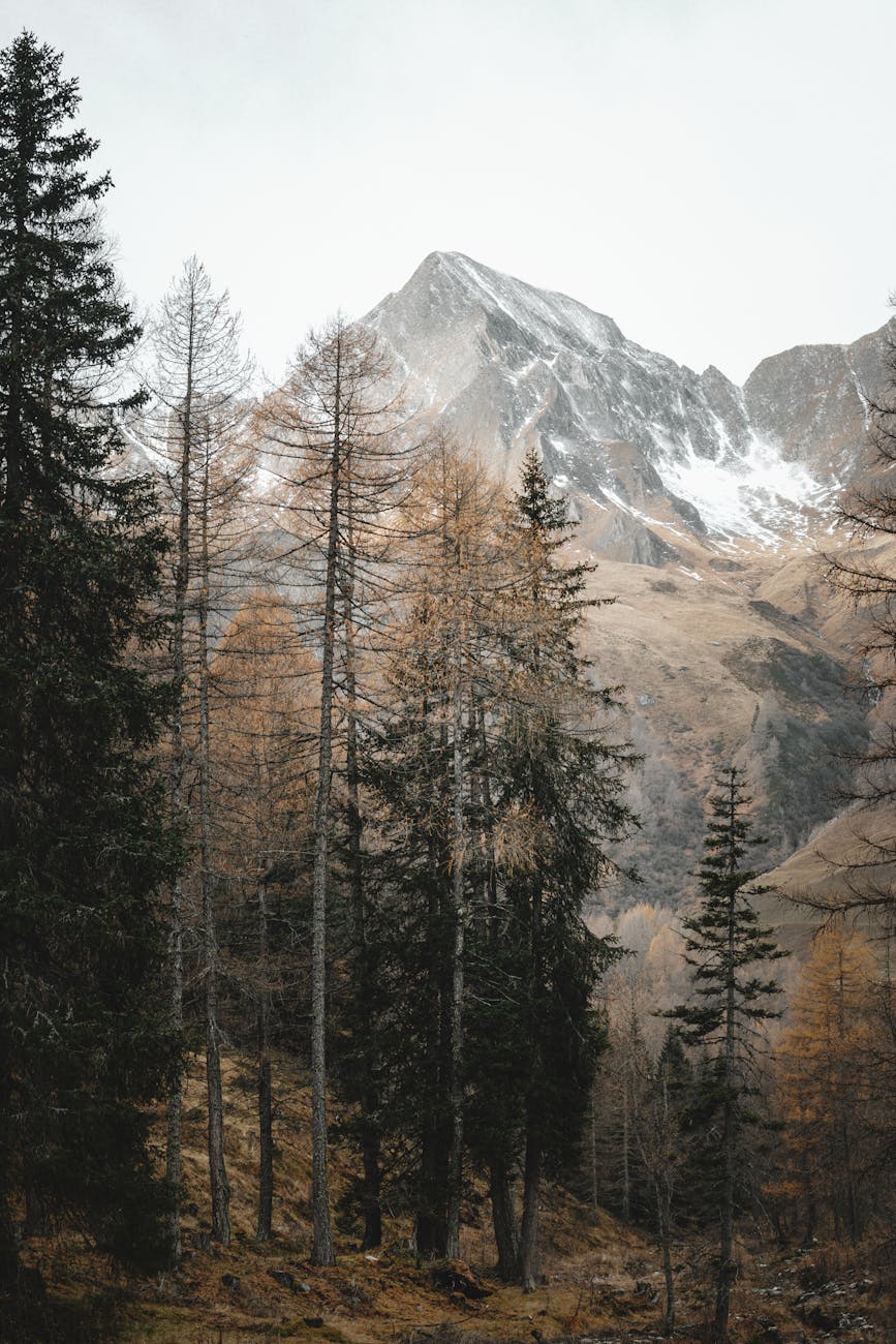 Car Refrigerator Review: Is It Worth Your&nbsp;Investment?